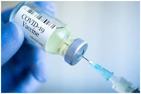 Verso il vaccino  anti Covid